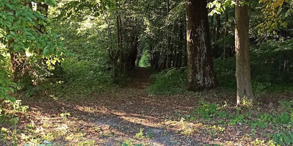 JOGA dla Ciebie - studio w pięknej okolicy blisko Radomia - Zdjęcie 7