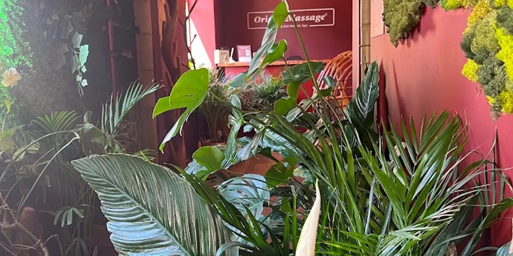 Salon Masażu Orient Massage Zielona Góra - Zdjęcie 6