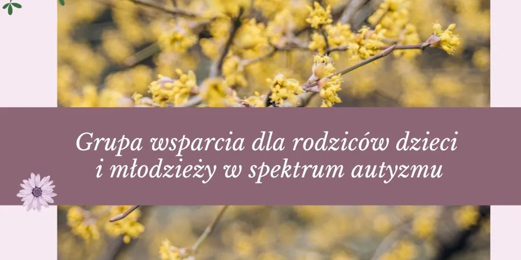 Aspeckt Gabinety - Zdjęcie 3