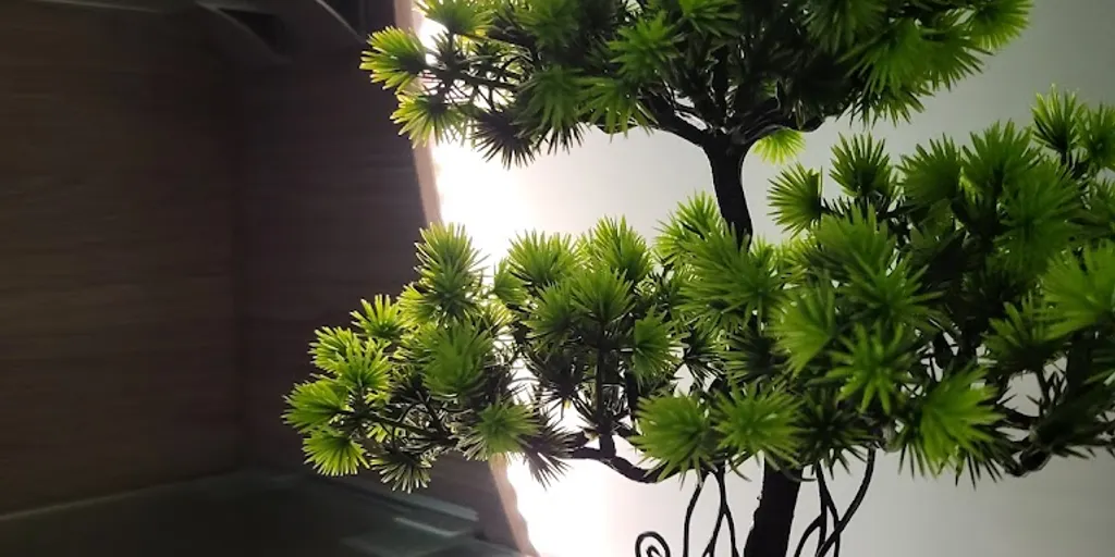 Etna SPA w Centrum Rekreacyjno-Sportowym - Zdjęcie 1