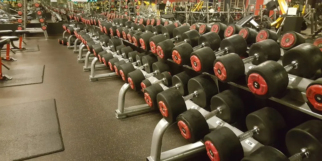 PLATYNA gym - profesionalny klub fitness - Zdjęcie 4