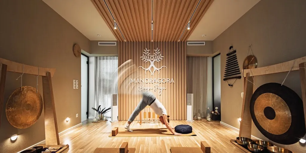 Mandragora Yaga Joga - studio jogi, psychoterapii i rozwoju osobistego - Zdjęcie 1