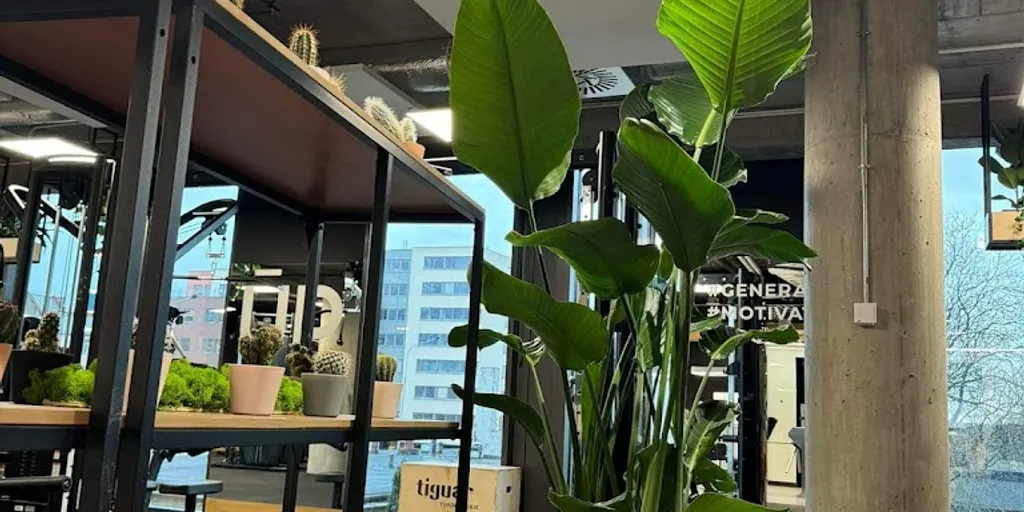 Klub Fitness UP - Wrocław Infinity - Zdjęcie 8