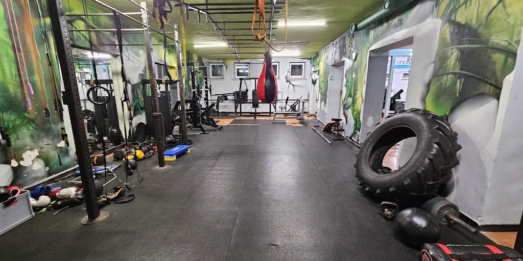 Jungle Gym - Zdjęcie 1