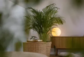 Joga Szczecin 🧘♀️ Holi Studio