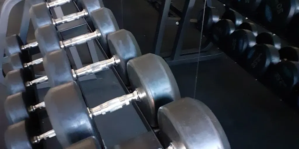 Well Fitness – Częstochowa, Wrzosowiak - Zdjęcie 4