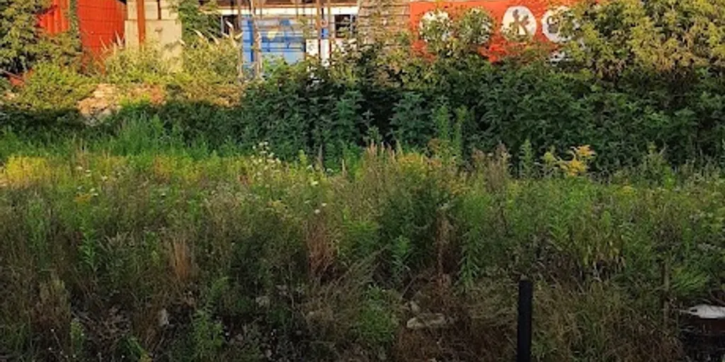 RxGym Warszawa Zachodnia - Zdjęcie 7