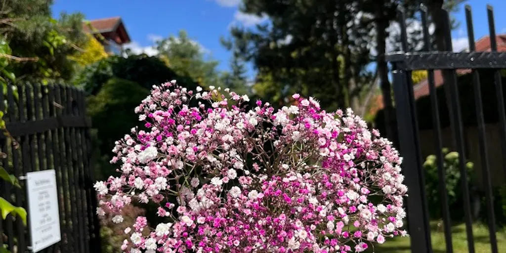 Spa Bylinowa - Zdjęcie 6