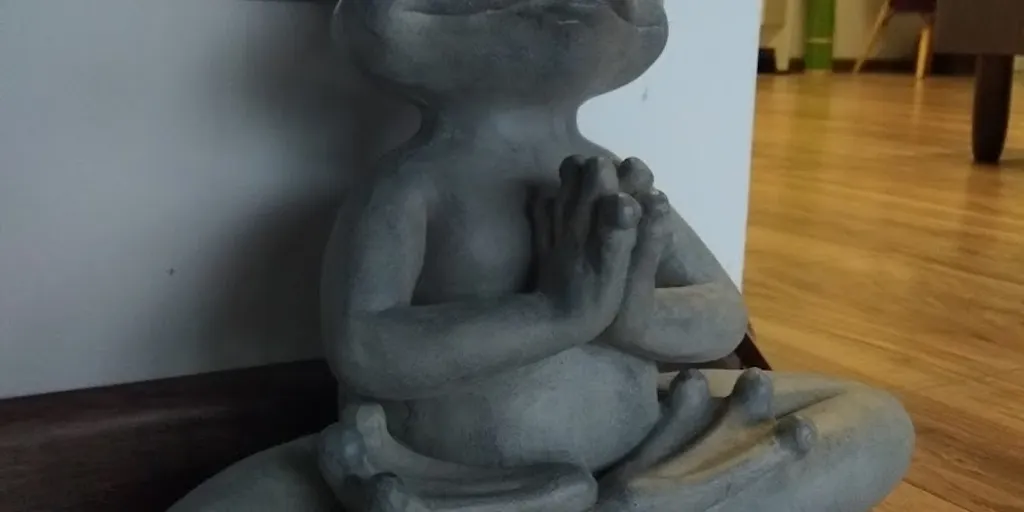 Strefa Jogi - Zdjęcie 8