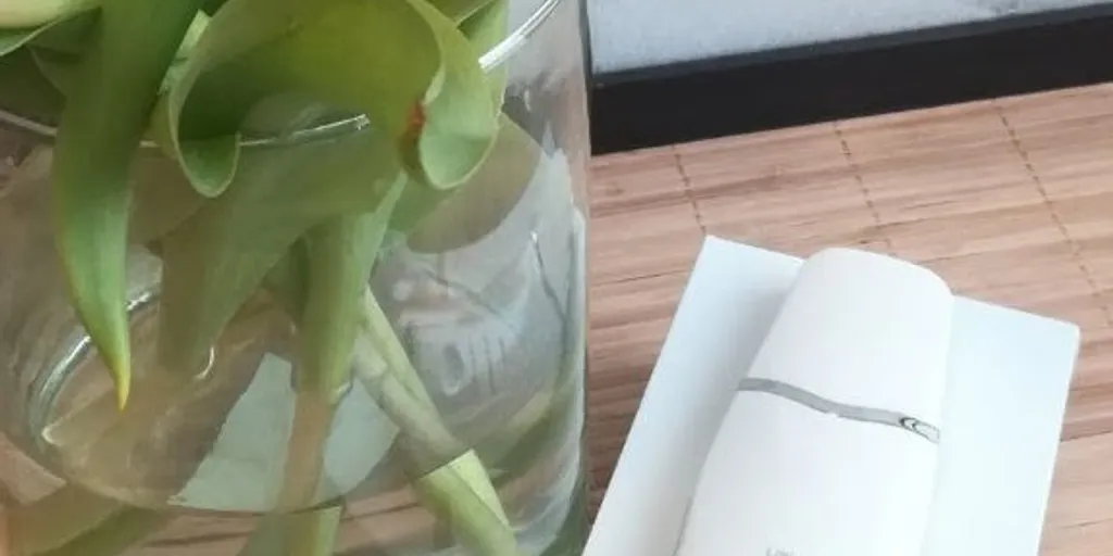 Ishiki - floating & ganbanyoku SPA - Zdjęcie 8