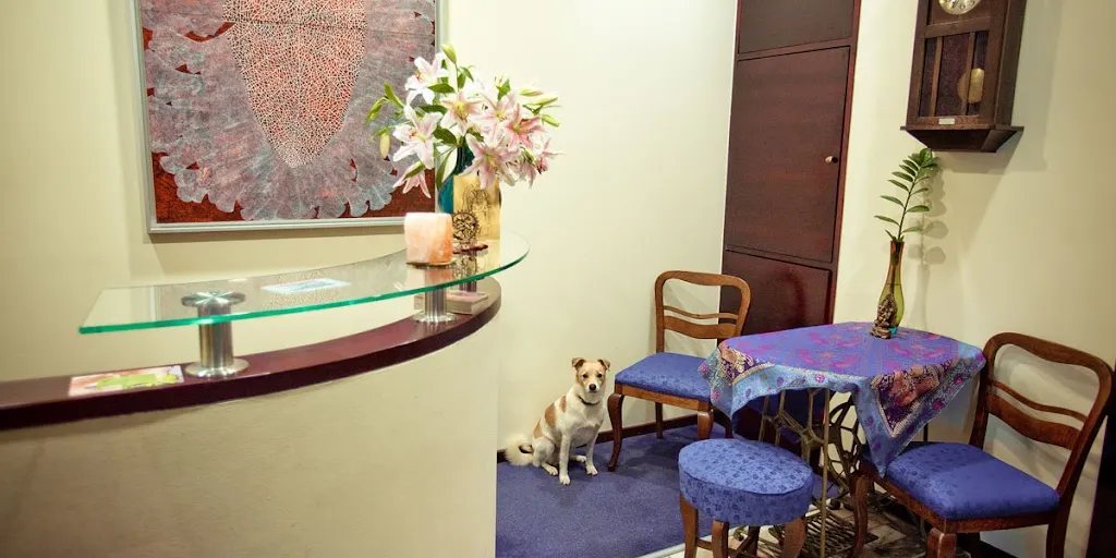 Joga Foksal - Zdjęcie 3