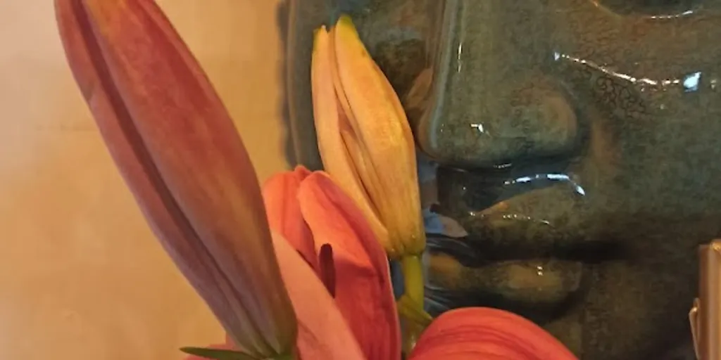 Joga Centrum - Zdjęcie 10