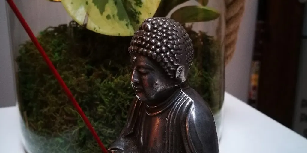 Dom Kultury Jogi - Zdjęcie 6