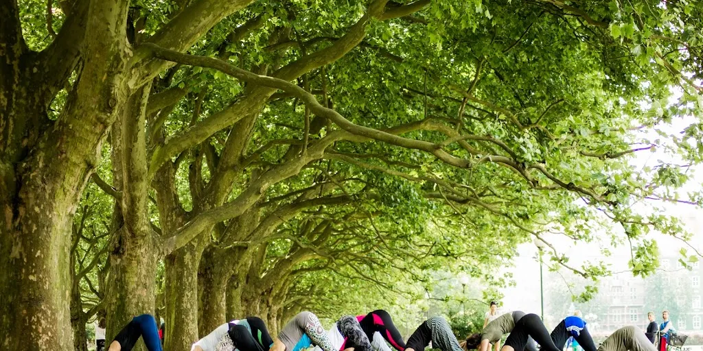 Szkoła Jogi Ałły Raginis - Zdjęcie 2