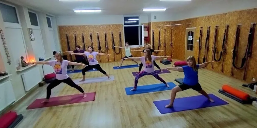 Bumblebee Joga Małgorzata Trzmiel - Zdjęcie 4