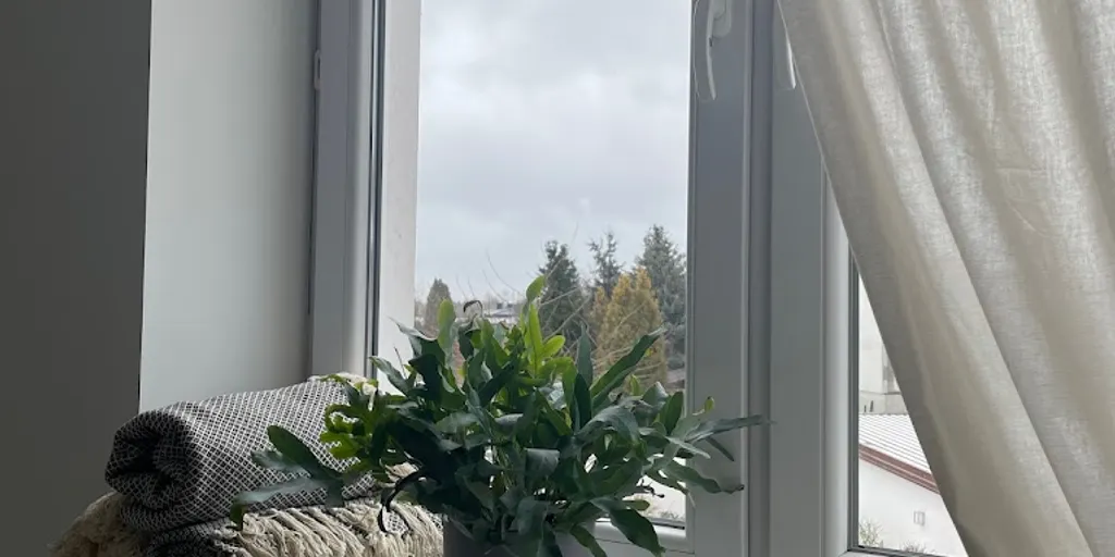 STUDIO JOGI KERALA - Zdjęcie 10