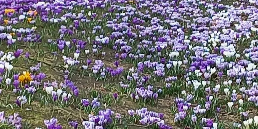 Fitness Club Szczecin - Zdjęcie 10