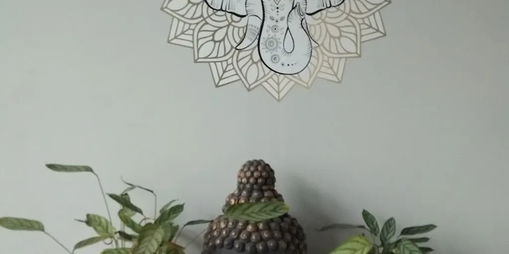 Strefa Jogi - Zdjęcie 3