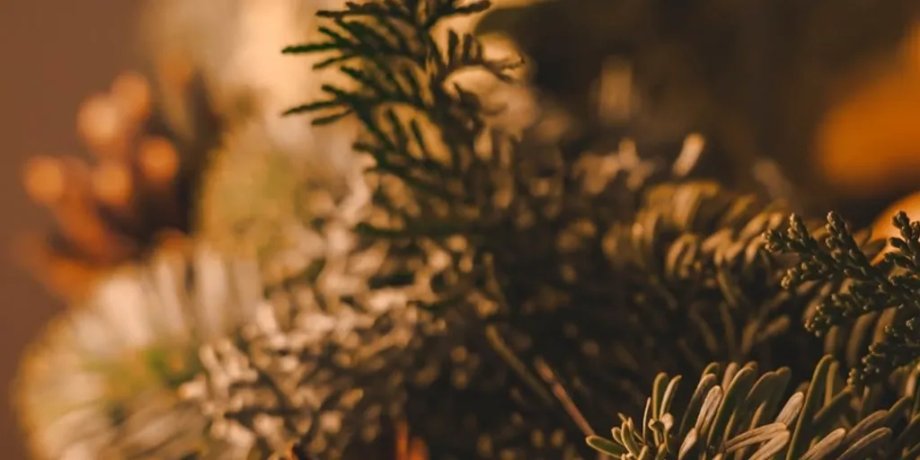 Day Spa Vita'O Salon Masażu Gdynia - Zdjęcie 2