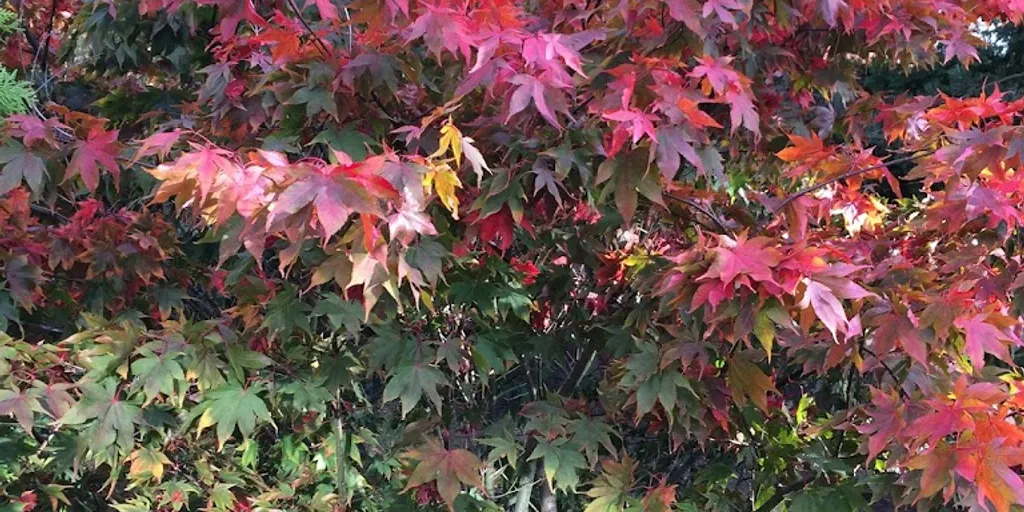 Spa Bylinowa - Zdjęcie 9