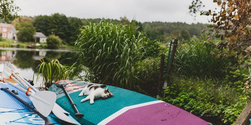 Ogrodowe SPA • Sauna • Balia • Imprezy • - Zdjęcie 10