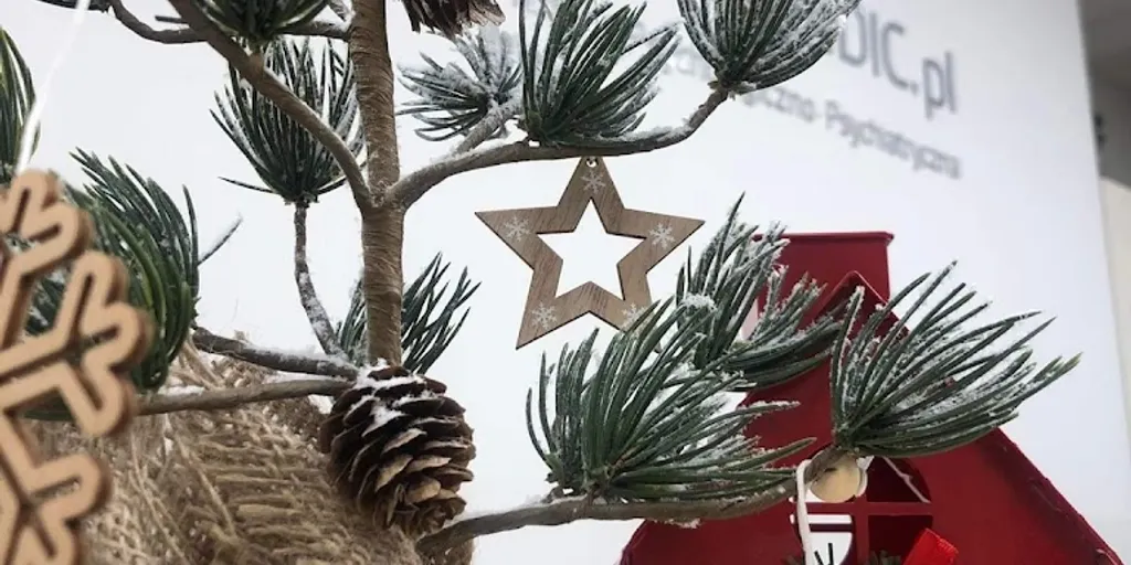 Psychomedic.pl Śródmieście - Psychiatra Bydgoszcz - psycholog, psychoterapeuta, neurolog - Zdjęcie 4