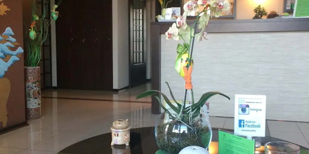 Shintai Day SPA Radom - Zdjęcie 9