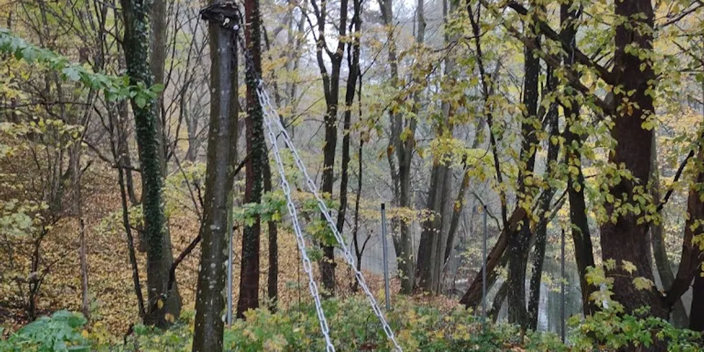 Savasana Katarzyna Szyńska - Zdjęcie 6