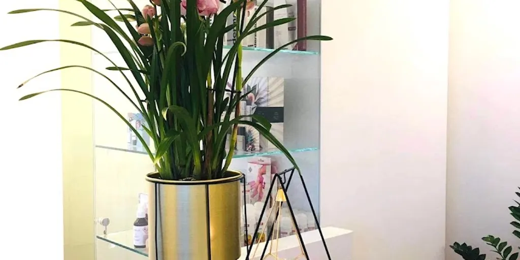 GARDENS spa - Zdjęcie 8