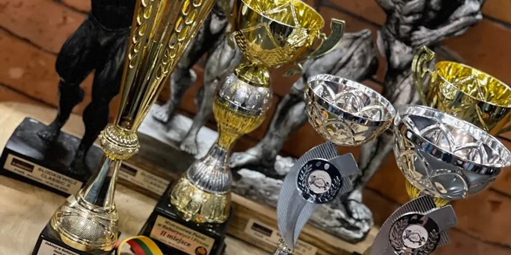 Papaj Gym Warsaw - Zdjęcie 8