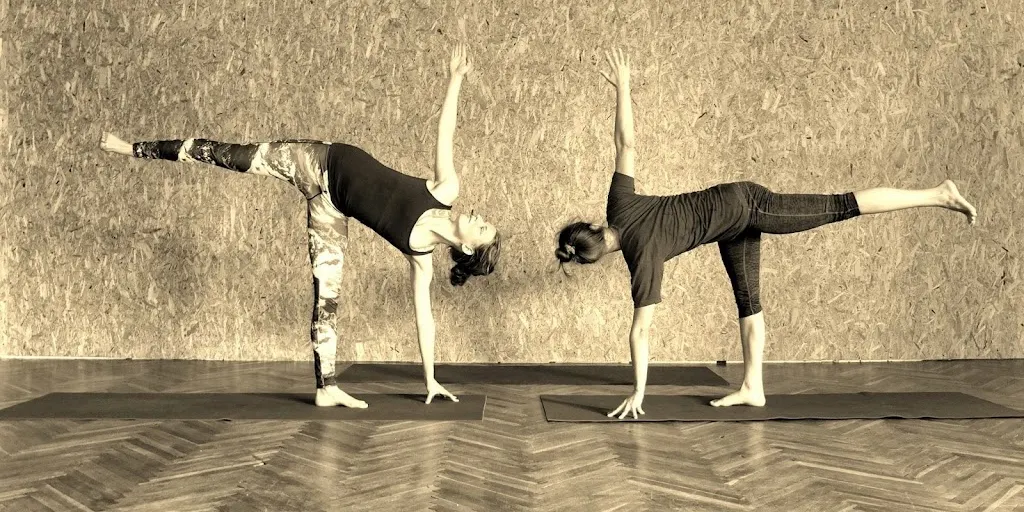 Szkoła Jogi na Dębnikach - Zdjęcie 2