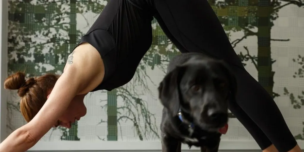 Joga Spot. Joga Gdynia Leszczynki, Chylonia, Grabówek, Pustki Cisowskie - Zdjęcie 5