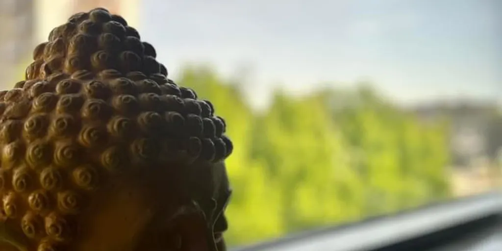 Sati Studio - Zdjęcie 7