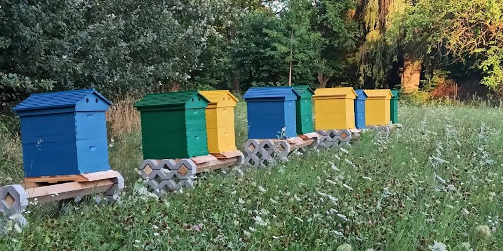 JOGA dla Ciebie - studio w pięknej okolicy blisko Radomia - Zdjęcie 6