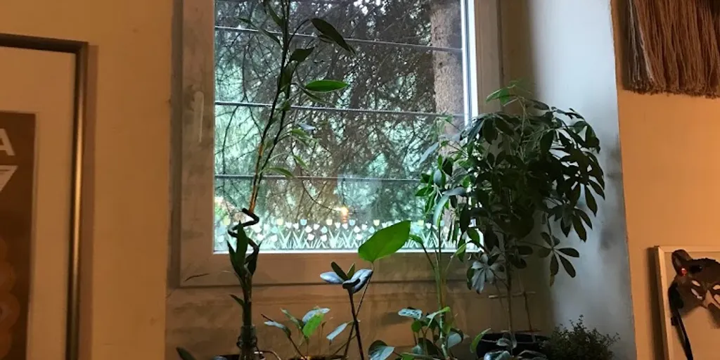 Joga Centrum - Zdjęcie 5