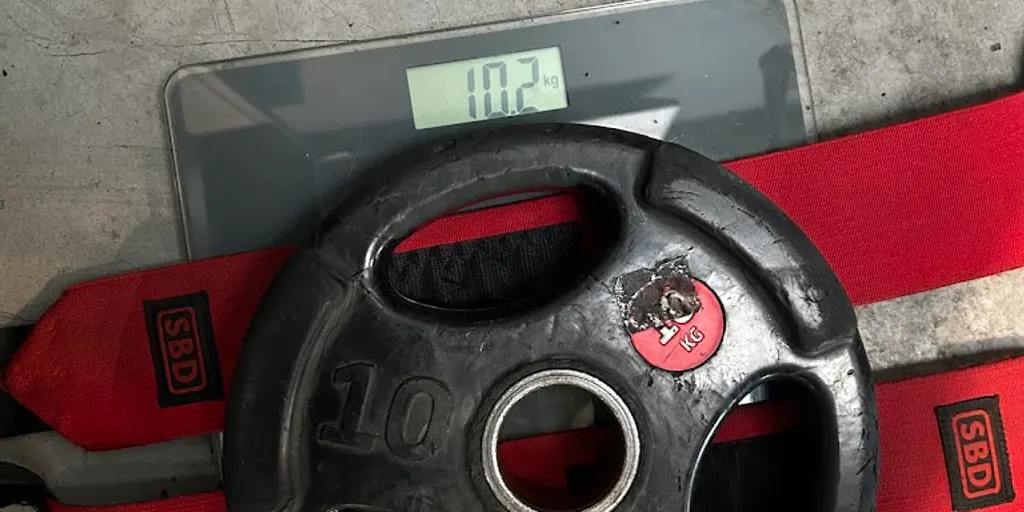 Well Fitness - Bielsko-Biała, Nowe Miasto - Zdjęcie 6