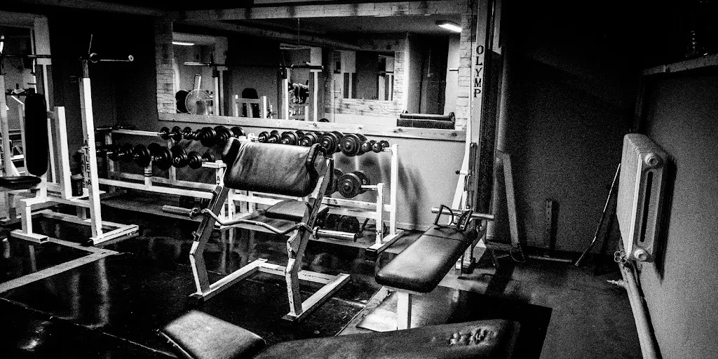 Olimp Fight And Power Gym - Zdjęcie 5