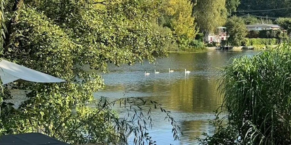 Ogrodowe SPA • Sauna • Balia • Imprezy • - Zdjęcie 7