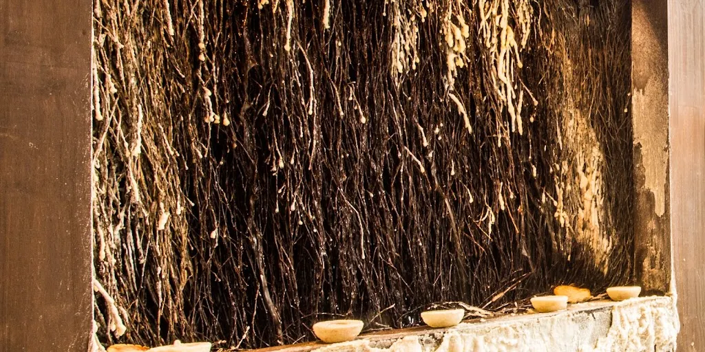 Spa Warszawa Centrum - Zabiegi dla Par, Voucher Spa - Sungate Beauty & Spa - Zdjęcie 3