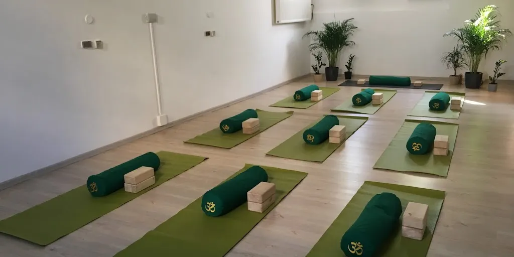 Strefa Yogi - Zdjęcie 8