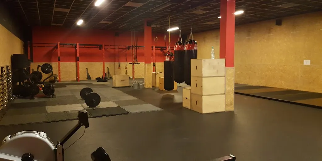 PLATYNA gym - profesionalny klub fitness - Zdjęcie 3