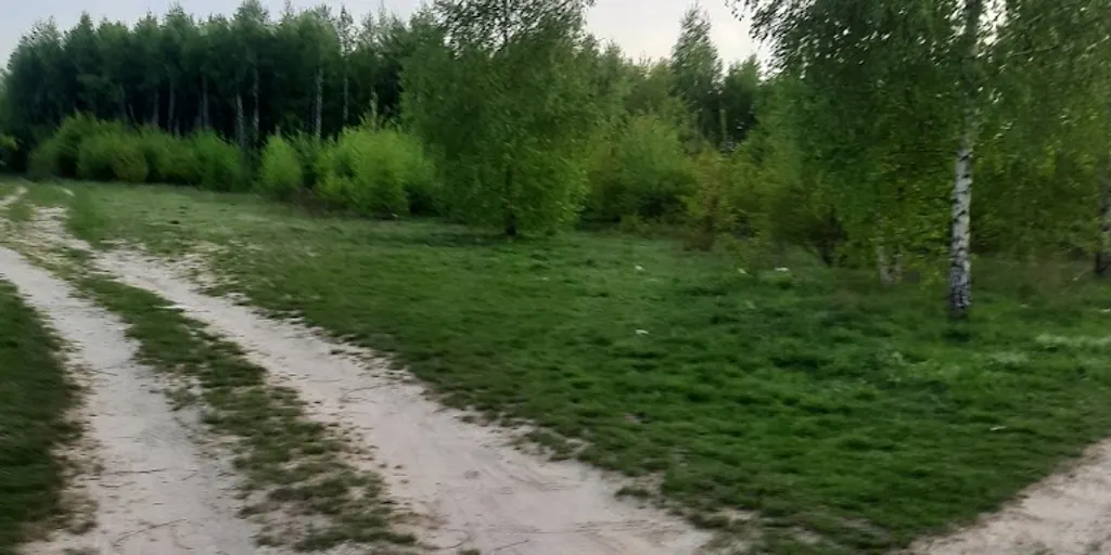 Well Fitness – Częstochowa, Wrzosowiak - Zdjęcie 10