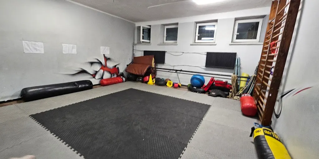 Jungle Gym - Zdjęcie 4