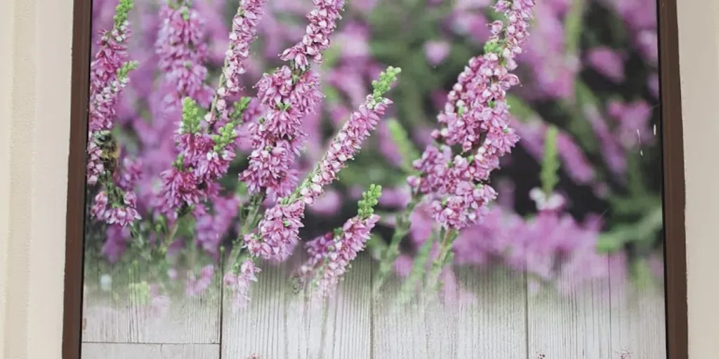 Gabinet masażu i SPA Justyna Jarecka - Zdjęcie 6