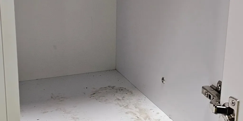 Well Fitness - Poznań, Półwiejska - Zdjęcie 7