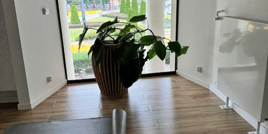 Yoga Republic plac Zbawiciela | Szkoła Jogi Warszawa - Zdjęcie 8