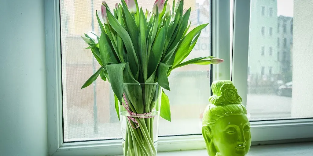 Hello Yoga - Zdjęcie 4