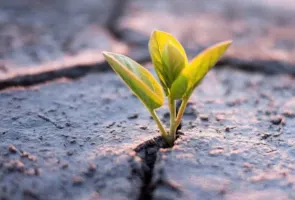 Gabinety Psychologiczne NeuroSymetria mgr Mariusz Kowal