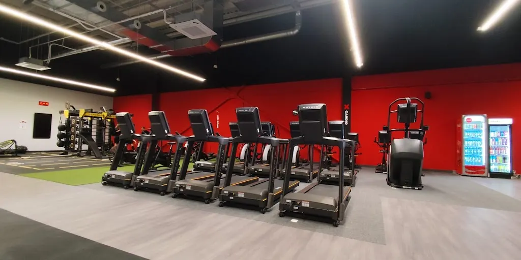 Xtreme Fitness Bielsko-Biała - Zdjęcie 8