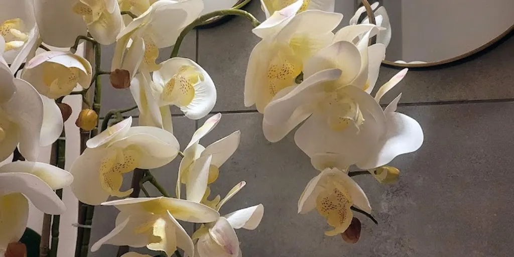 Thai Bali Spa Gdańsk - Zdjęcie 8